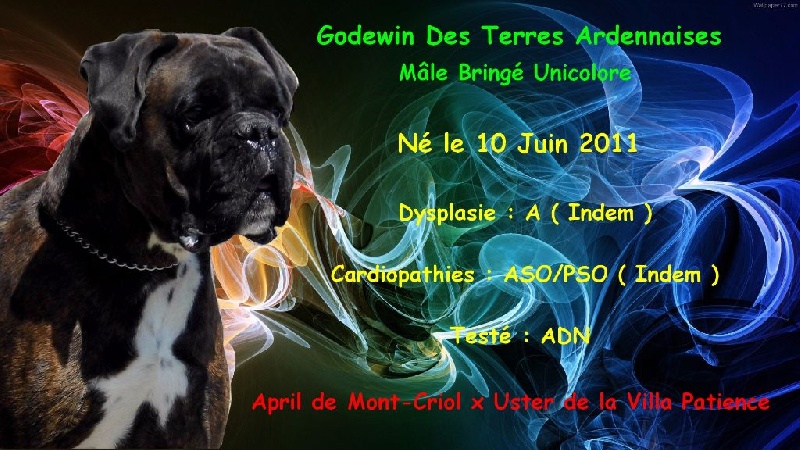 Godewin des terres ardennaises