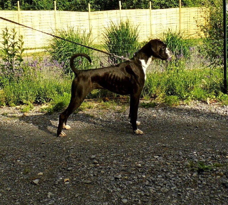 Jolie'baby des terres ardennaises